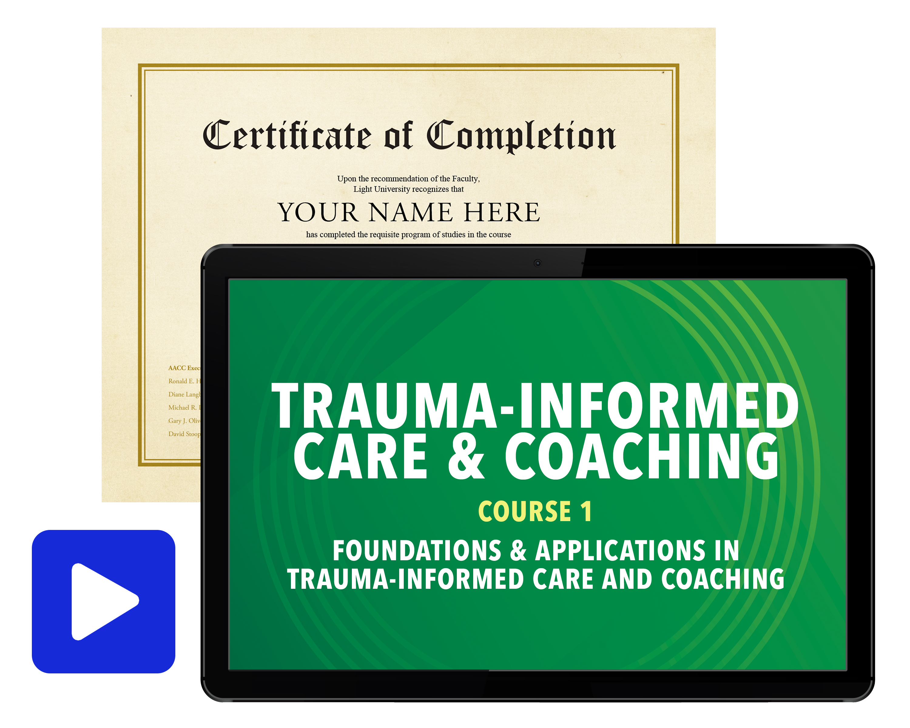 Foundations & Applications of Trauma-Informed | Light Univ.